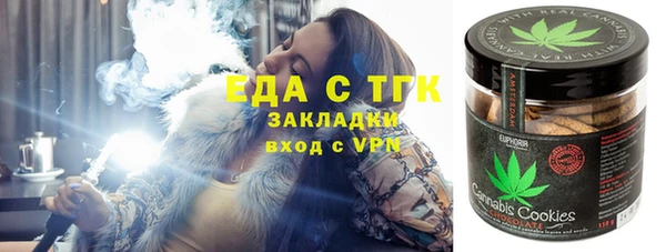 гашик Карпинск