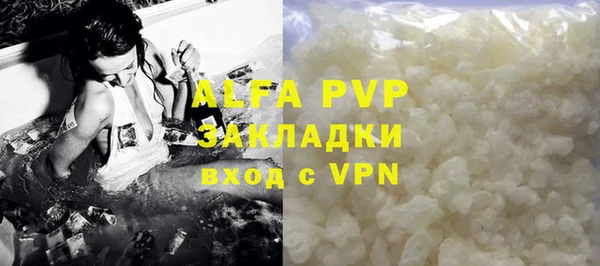 гашик Карпинск