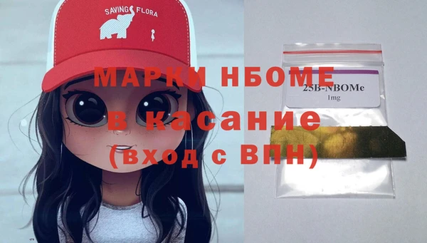 гашик Карпинск