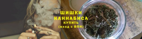 гашик Карпинск