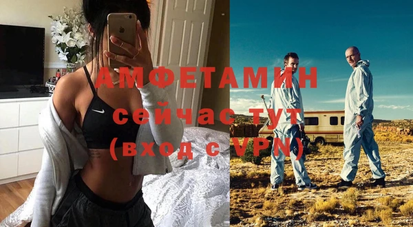 гашик Карпинск