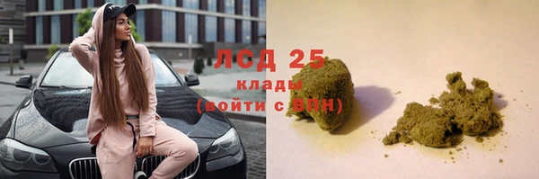 гашик Карпинск
