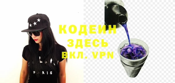гашик Карпинск