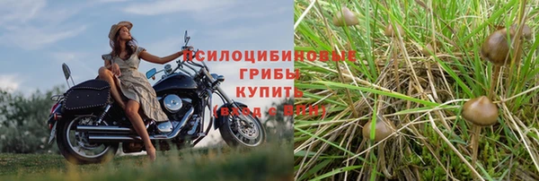 мескалин Карталы
