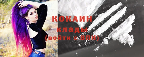 гашик Карпинск