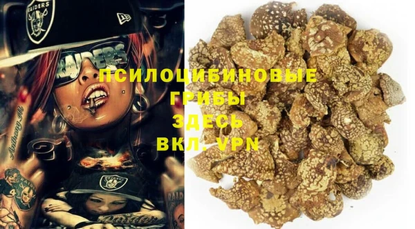 гашик Карпинск