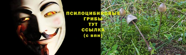героин Касимов